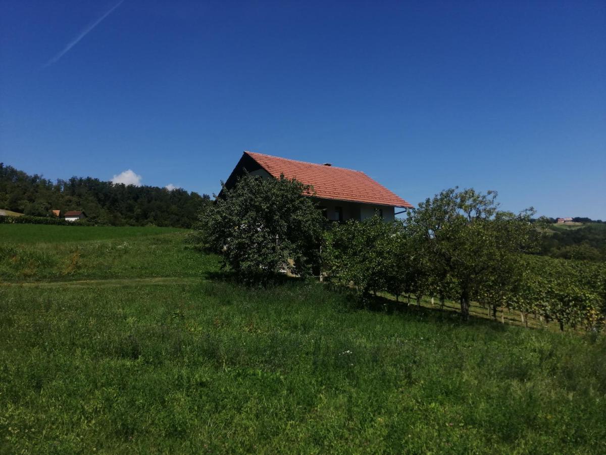 Apartma Gorca Plevnik Buce Экстерьер фото
