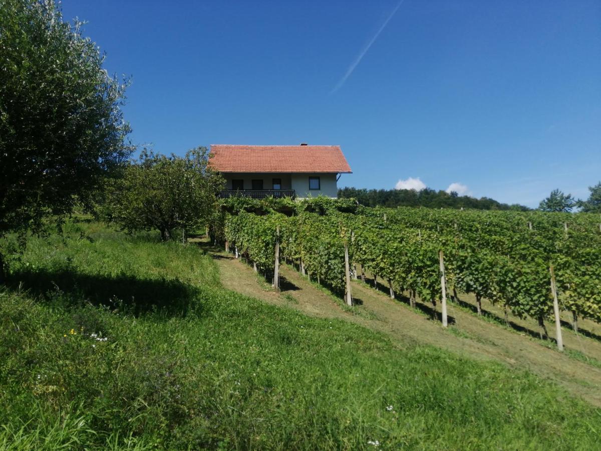 Apartma Gorca Plevnik Buce Экстерьер фото