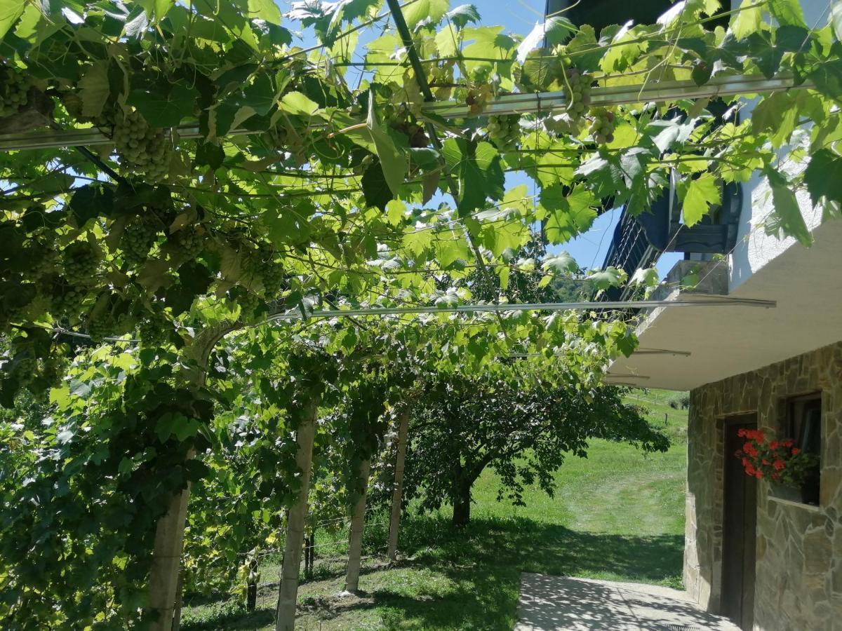 Apartma Gorca Plevnik Buce Экстерьер фото