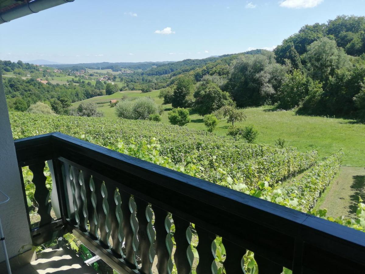 Apartma Gorca Plevnik Buce Экстерьер фото