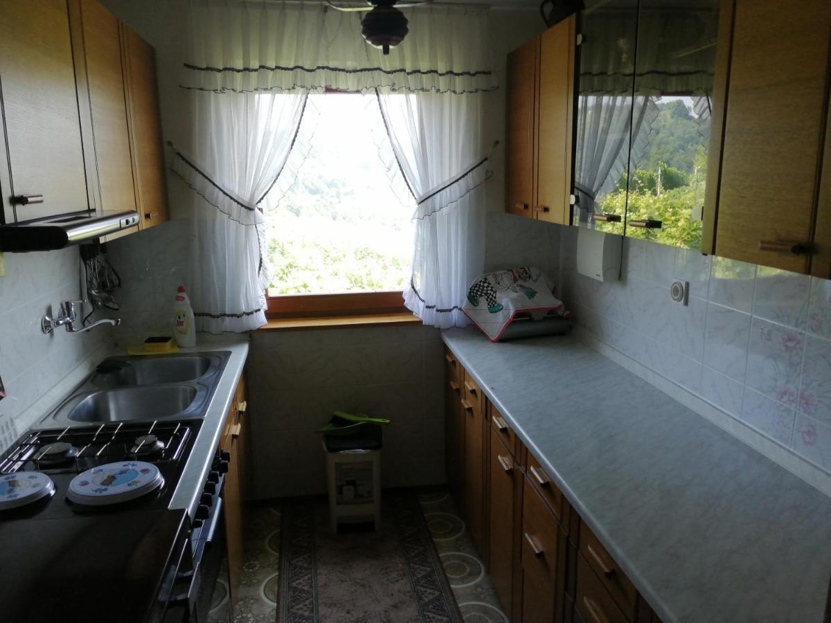 Apartma Gorca Plevnik Buce Экстерьер фото